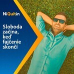 Niquitin Mini 4mg 20 pillen