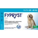 Fypryst Psy 20-40 kg Lösung für Hauttropfen für Hunde 1 St.