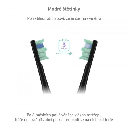 TrueLife SonicBrush Clean30 Black sonic brush
