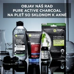 Garnier Skin Naturals Pure Active 3w1 Aktywna maska z węglem drzewnym przeciw zaskórnikom, 150 ml: ceny i cechy