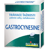 Boiron Gastrocynesine 60 comprimate