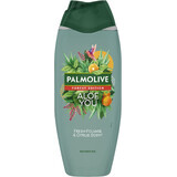 Palmolive Forest Edition Aloe You Douchegel 500 ml