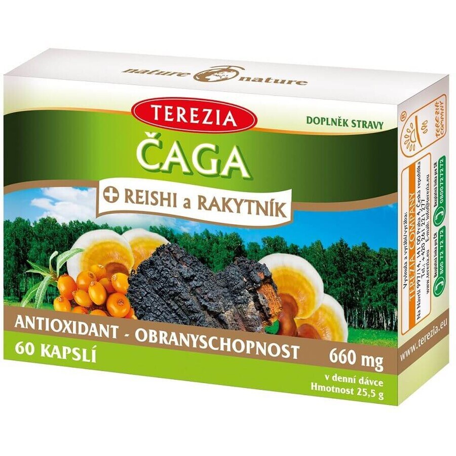 Terezia Chaga + reishi and sea buckthorn 60 capsules