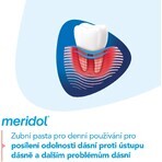 Meridol Parodont Expert Dentifricio 3 x 75 ml