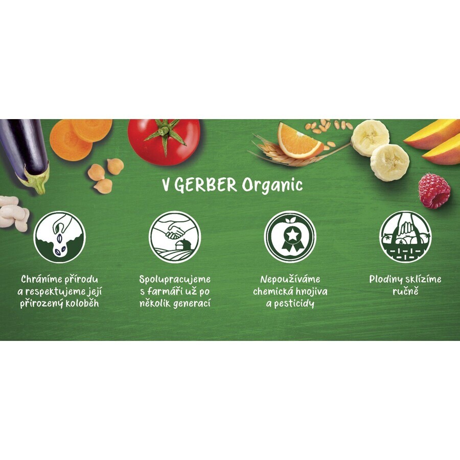 Gerber Biologische perenzak 100% Biologisch 4m+ 16 x 90 g