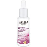 Weleda Bean Firming Facial Serum 30 ml