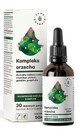 Walnoot + alsem complex, Natuurlijke alsem complex druppels 50 ml Aura Herbals