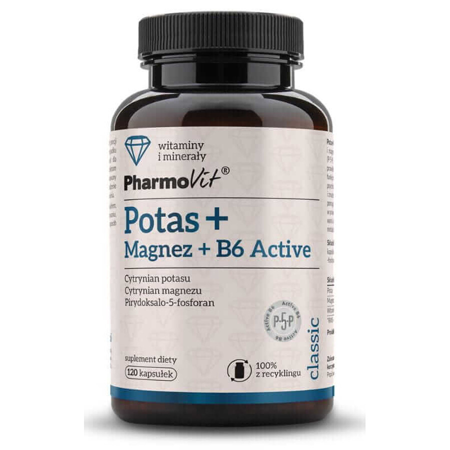 Potassium + Magnesium + B6 Active 120 capsules Pharmovit Classic