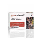 Vaso-Intercell Pycnogenol 75% 60 capsules, Intercell