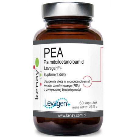 PEA Palmitoyl Ethanolamid Levagen 60 Kapseln Kenay