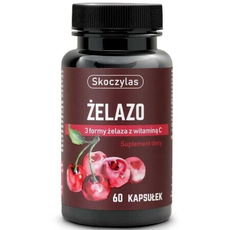 Skoczylas IJzer 3 vormen met vitamine C 60 capsules