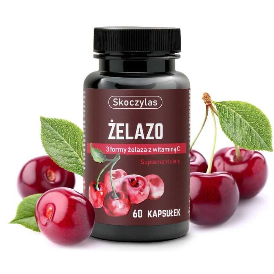 Skoczylas IJzer 3 vormen met vitamine C 60 capsules