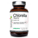 Chlorella Yaeyama (gebrochene Zellwände) 120 Tabletten Kenay