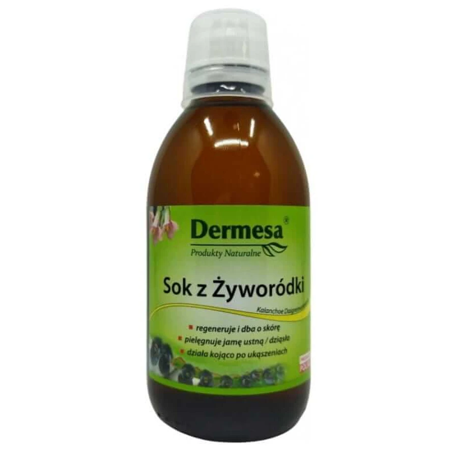 Dermesa Vives Juice 250 ml