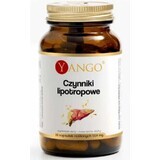 Lipotropic factors 90 capsules Yango