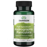 Andrographis Paniculata 400 mg - 60 capsule Swanson