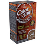 Colore & Soin (biondo scuro dorato) 6G 135ml