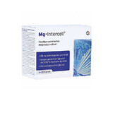 Mg Intercell Magnesiumcitraat 120 capsules, Intercell