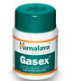 Gasex Spijsvertering 100 tabletten Himalaya