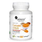 Curcumin 3 PLUS Curcuma longa 500 mg Piperin 1 mg 60 capsules Aliness