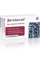 Zn-Intercell Zink 90 microcapsules Intercell