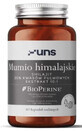 Himalaya mummie 60 capsules UNS