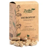 Distel - Ondersteuning voor Lever en Spijsvertering - 60 Kruidencapsules