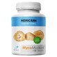 Hericium (zonnehoed) 30% polysacharide 90 capsules MycoMedica