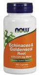 NOW Foods Echinacea &amp; Goudsbloemwortel 100 capsules