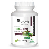 Tulsi (Heilige basilicum) extract 5% 300 mg (90 capsules) Aliness