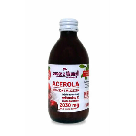 Acerola-Fruchtsaft 100% 250 ml