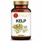 Kelp - Alge marine - Iod (100 caps), Yango