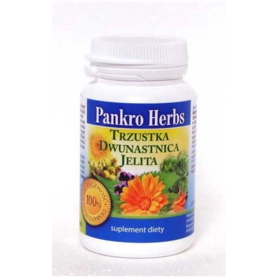 Pankro Kruiden - alvleesklier, twaalfvingerige darm, darm 60 capsules Inwent Kruiden