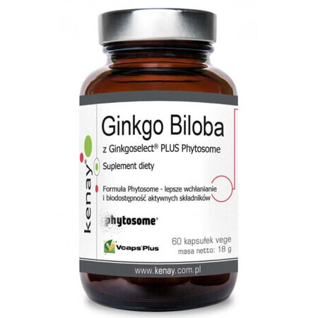 Ginkgo Biloba met Ginkgoselect fytosoom 60 capsules, Kenay