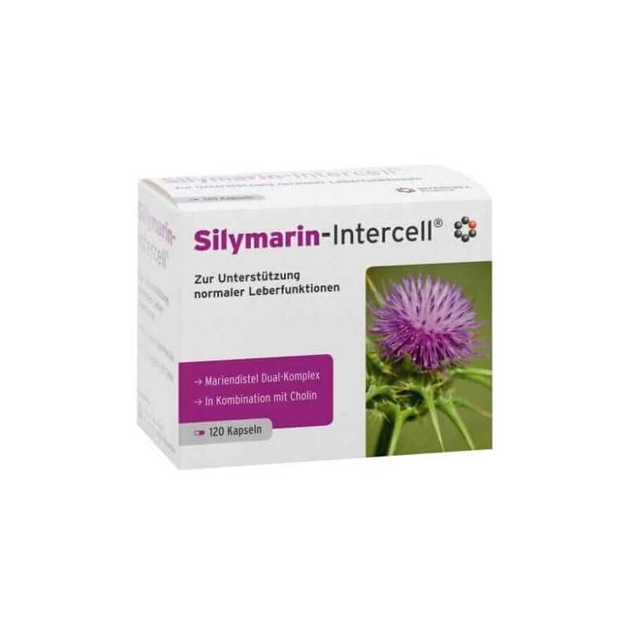 Silymarin-Intercell (leverondersteuning) 120 capsules, Intercell