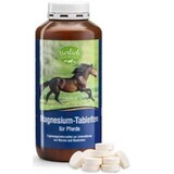 Magnesium for horses 170 boards Tierlieb Sanct Bernhard