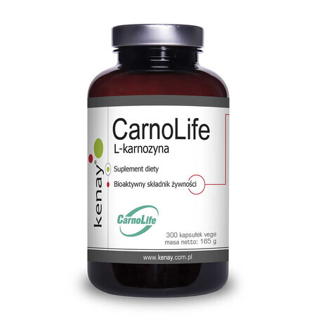 CarnoLife L-Carnosine - 300 capsules, Kenay