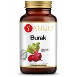 Beetroot - extract 10:1 - 100 YANGO capsules