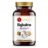 Baikalin Active+ (ginger, turmeric) 90 capsules Yango