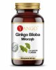 Ginkgo biloba-extract 24% (100mg 90 capsules) Yango