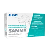 Supplementen voor honden en katten Sammy, 30 capsules, Alavis