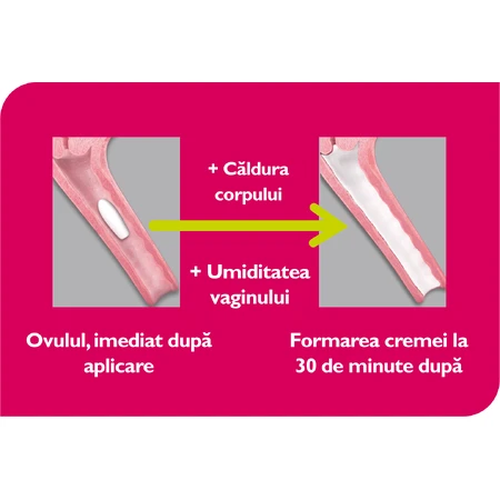Vaginale capsules met melkzuur Vagisan, 7 stuks, Vagisan
