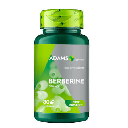 Berberine, 500 mg, 90 capsules, Adams Supplementen