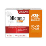 Bilomag forte Circulație, 120 capsule,  Zdrovit