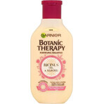 Garnier TERAPIA BOTANICA OLIO DI RICINO SHAMPOO 1×250 ml, shampoo