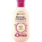 Garnier TERAPIA BOTANICA OLIO DI RICINO SHAMPOO 1×250 ml, shampoo