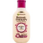 Garnier TERAPIA BOTANICA OLIO DI RICINO SHAMPOO 1×250 ml, shampoo