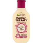 Garnier TERAPIA BOTANICA OLIO DI RICINO SHAMPOO 1×250 ml, shampoo