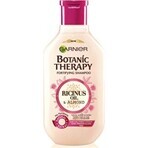 Garnier TERAPIA BOTANICA OLIO DI RICINO SHAMPOO 1×250 ml, shampoo