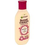 Garnier TERAPIA BOTANICA OLIO DI RICINO SHAMPOO 1×250 ml, shampoo